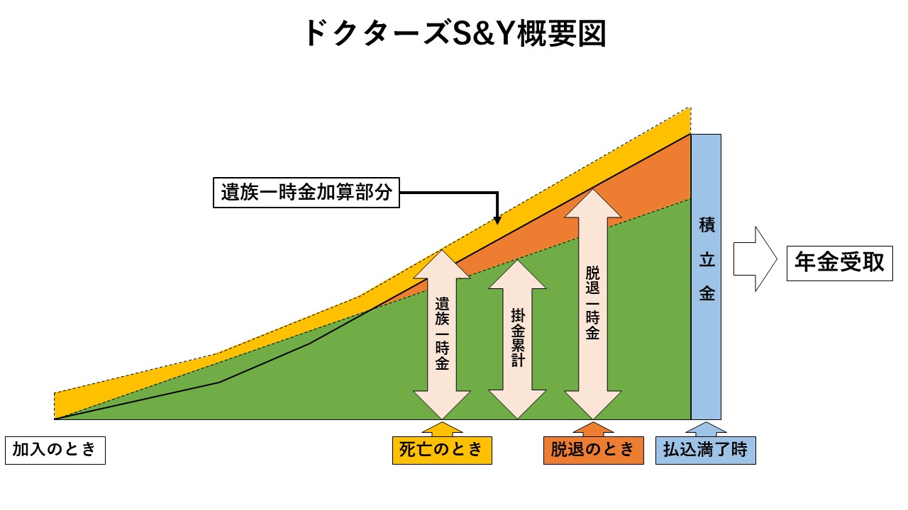 ドクターズS&Y概要図