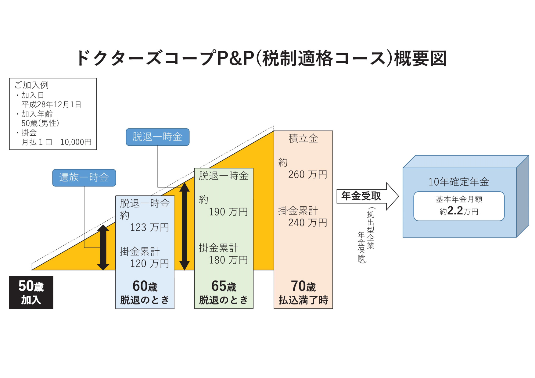 ドクターズコープP&P(税制適格)